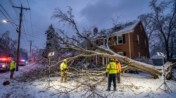 Emergency storm tree removal after ice event in Lansing MI