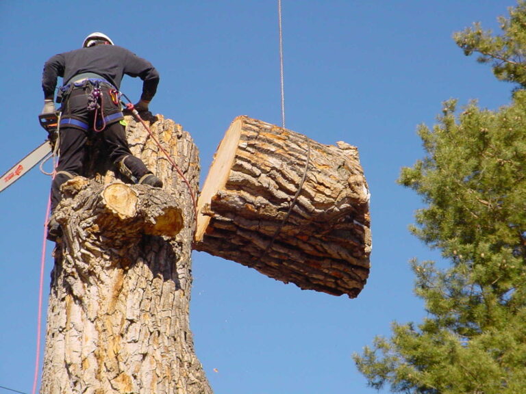 Tree Removal Cost per Hour in Lansing, MI