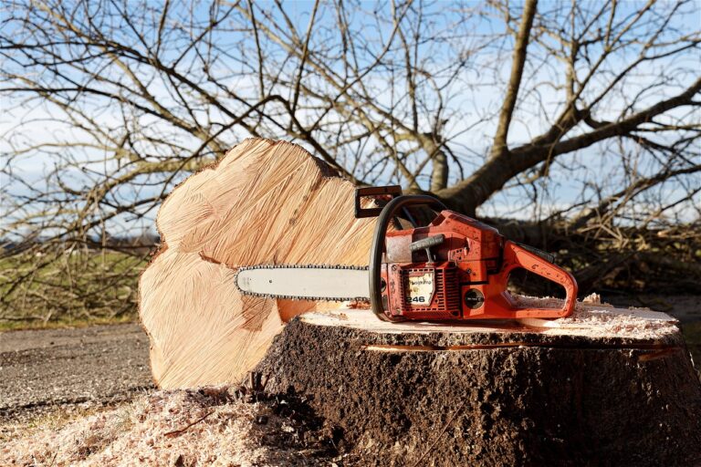 chainsaw, tree, tree pruning-4815949.jpg